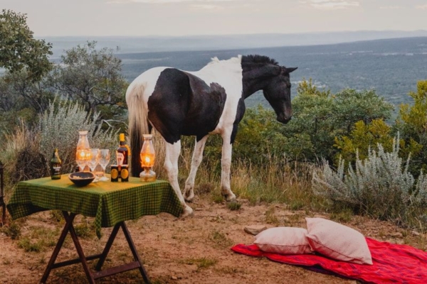 Bushwillow at Ants (35) Sundowners at Bushwillow Camp at Ant Africa Safaris in South Africa