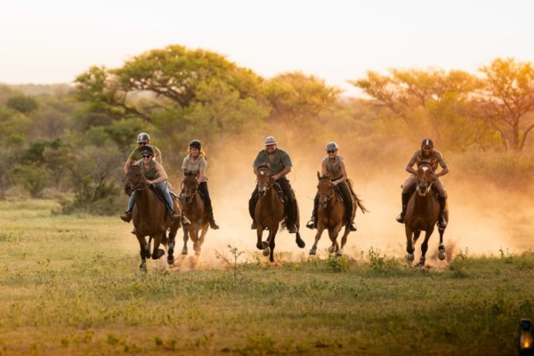 Bushwillow at Ants (36) Cantering horses at Bushwillow Camp at Ant Africa Safaris in South Africa