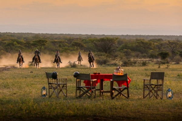 Bushwillow at Ants (37) Cantering to sundowners at Bushwillow Camp at Ant Africa Safaris in South Africa