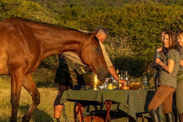 Bushwillow at Ants (40) Sundowners with horses at Bushwillow Camp at Ant Africa Safaris in South Africa
