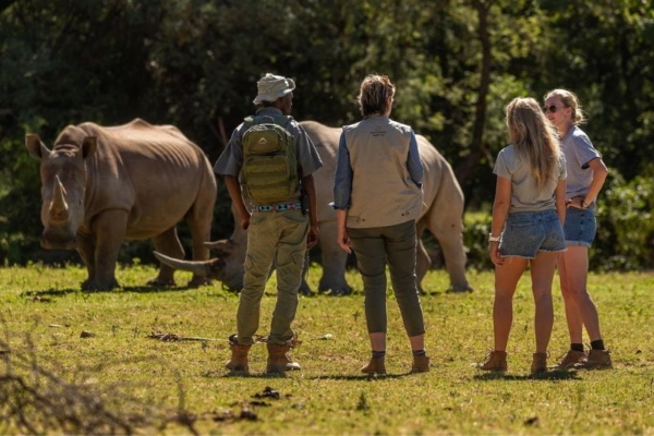 Bushwillow at Ants (9) Guided walk at Bushwillow Camp at Ant Africa Safaris in South Africa