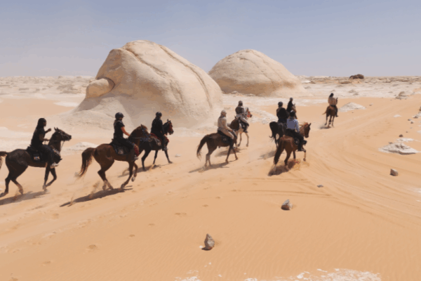 Egypt Horse Riding Holidays (2)
