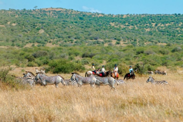 Horse riding with zebra at Rocky Hollow in Kenya