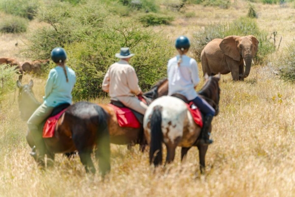 Horse riding with elephants at Rocky Hollow in Kenya