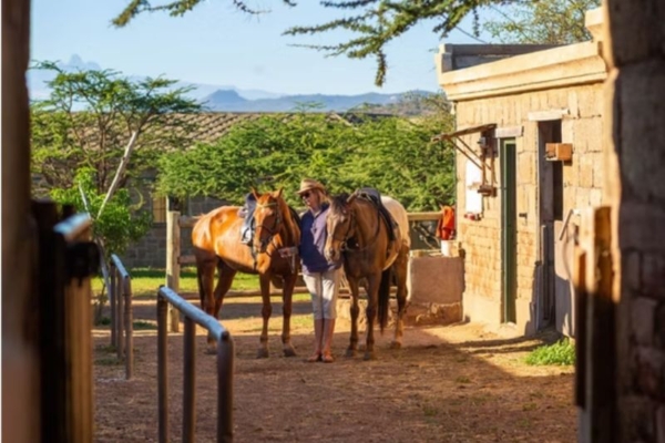 Horse care at Rocky Hollow in Kenya