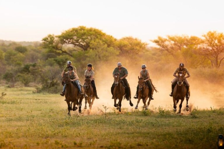 Group of horse riders galloping at Ants Bushwillow