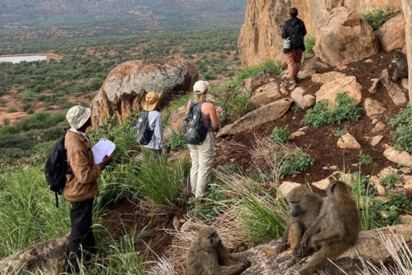 Baboon project at Rocky Hollow in Kenya