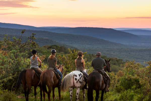 horses10 Horse riding at Bushwillow Camp at Ant Africa Safaris in South Africa