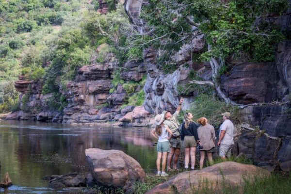 Walking safaris at Ants River Lodge in South Africa