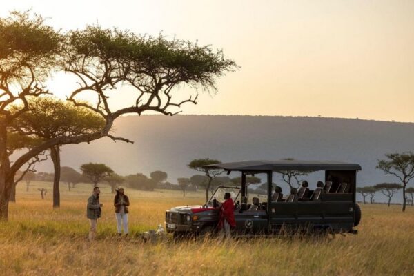 House in the Wild (33) Game drive at evening light in the Masai Mara at House in the Wild, Kenya