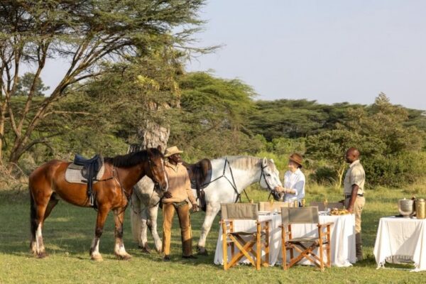 House in the Wild (44) Decadent bush picnics in the Masai Mara at House in the Wild, Kenya