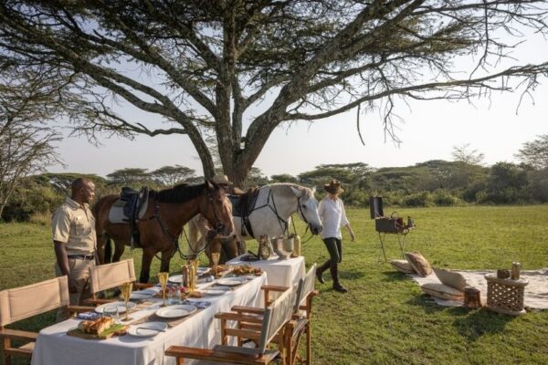 House in the Wild (46) Picnic with horses in the Masai Mara at House in the Wild, Kenya