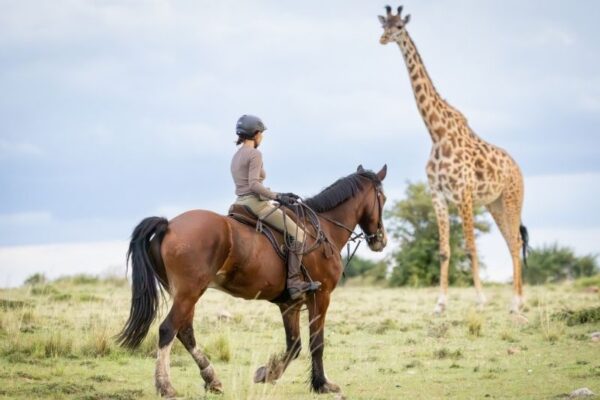 Horse riding with giraffe in the Masai Mara at House in the Wild, Kenya