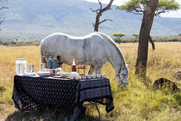 House in the Wild (60) Horse grazing next to table in the Masai Mara at House in the Wild, Kenya
