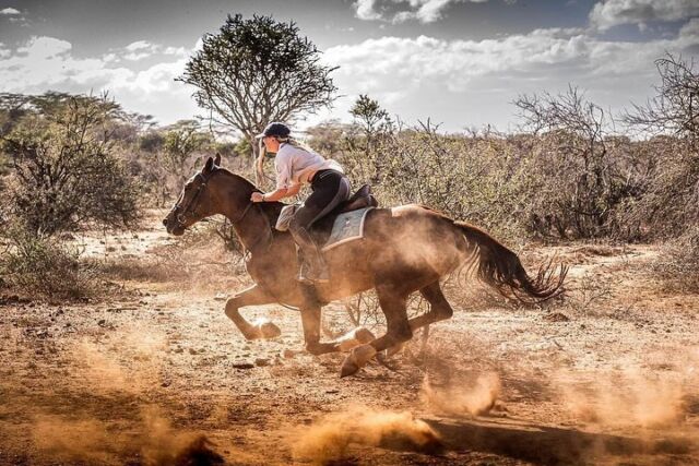 Pin on Horse Safari Travel Essentials